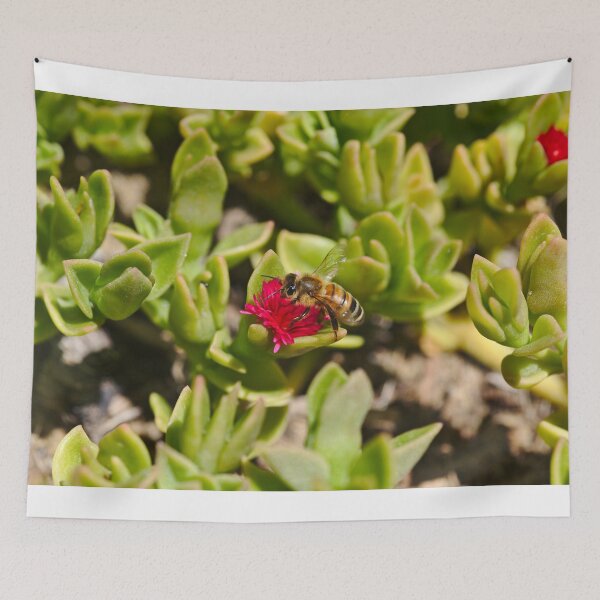 Item preview, A Bee Bee On A Pink Succulent Flower Bees designed and sold by Jason Gilbert.
