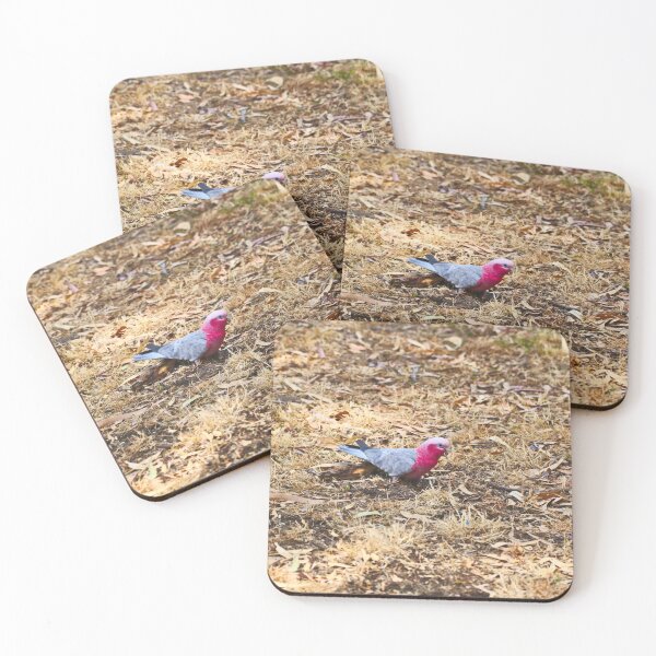 Item preview, Pink And Grey Galah Foraging In The Dry Grass designed and sold by Jason Gilbert.