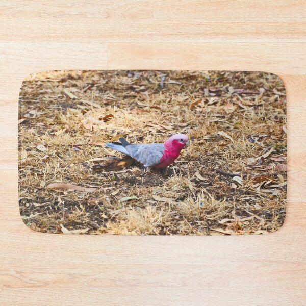 Item preview, Pink And Grey Galah Foraging In The Dry Grass designed and sold by Jason Gilbert.