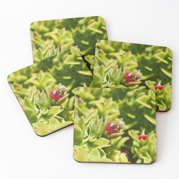 Item preview, Honey Bee Bee Collecting Pollen For Bees designed and sold by Jason Gilbert.