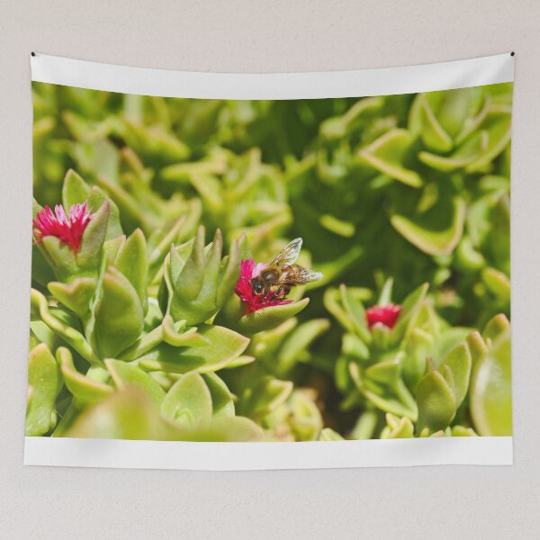 Item preview, Honey Bee Bee Collecting Pollen For Bees designed and sold by Jason Gilbert.