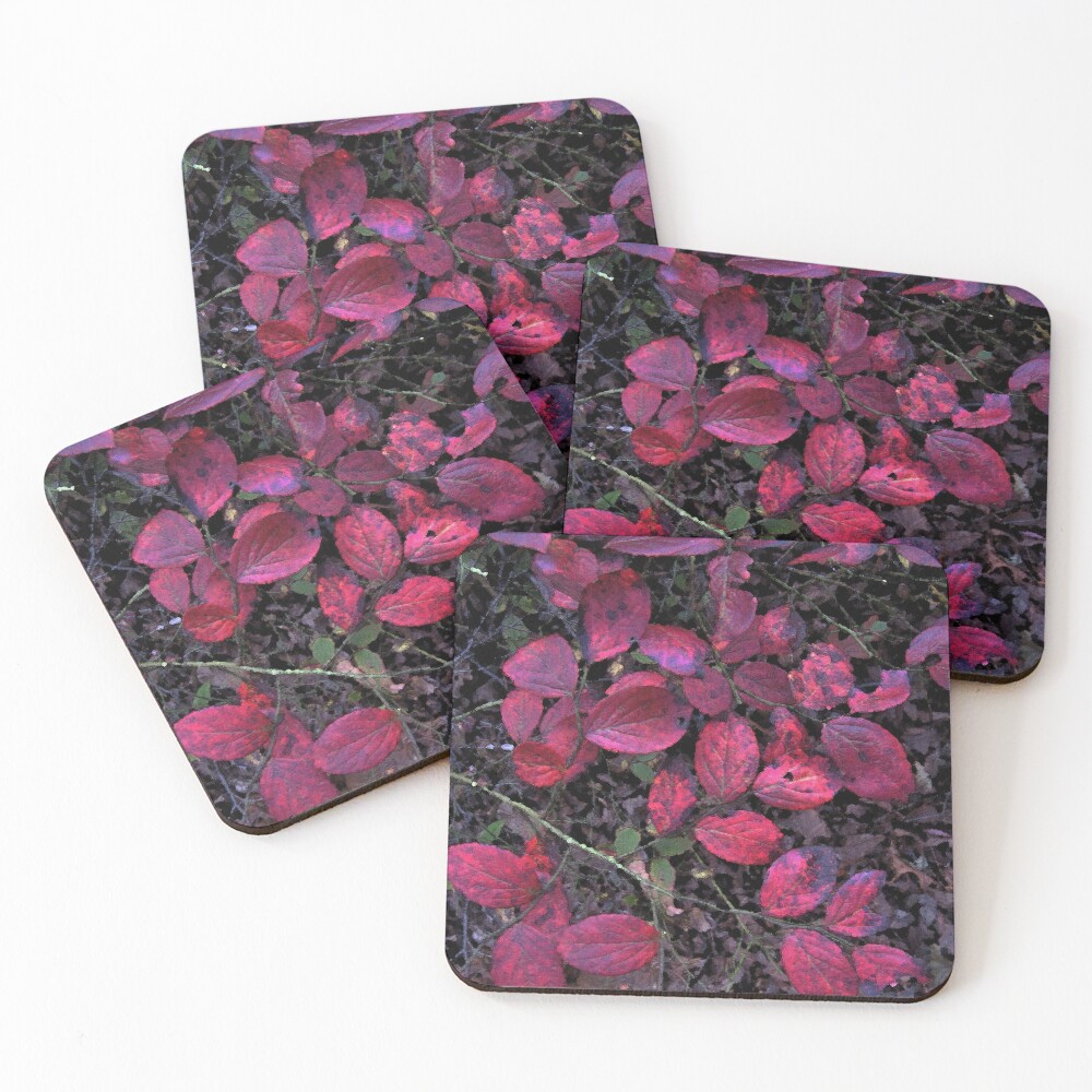 Item preview, Coasters (Set of 4) designed and sold by RVogler.