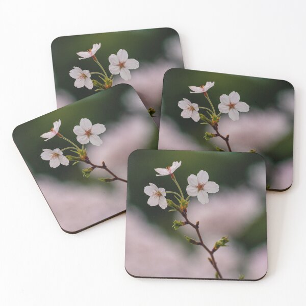 Item preview, Japanese Sakura - Cherry Blossoms against green and pink designed and sold by Jordan McChesney.