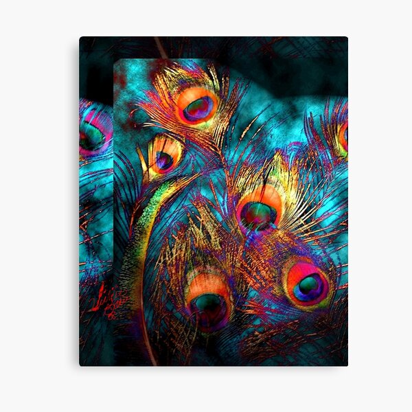 Miss P's Feathers Canvas Print