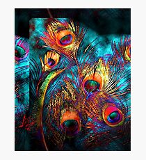 Miss P's Feathers Photographic Print
