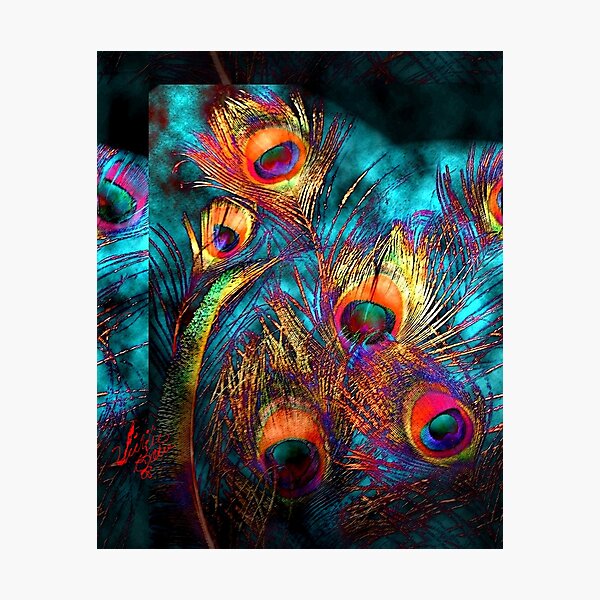 Miss P's Feathers Photographic Print