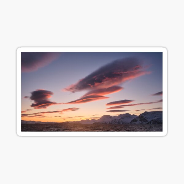 Giant cloud whales in the sky? Sticker