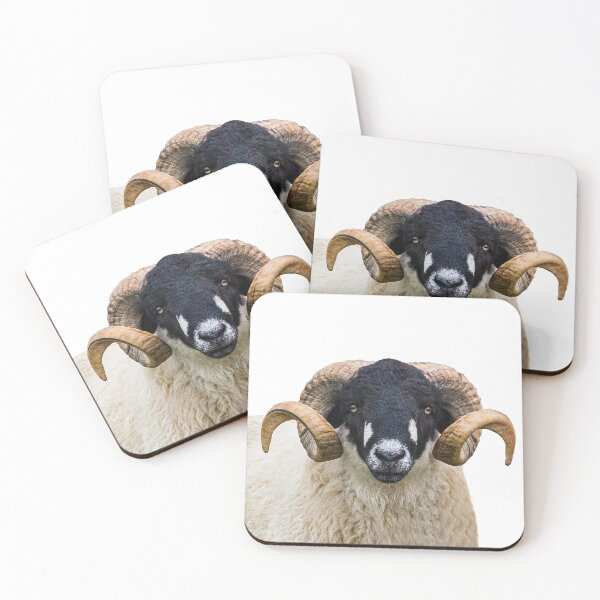 Swaledale sheep Coasters (Set of 4)