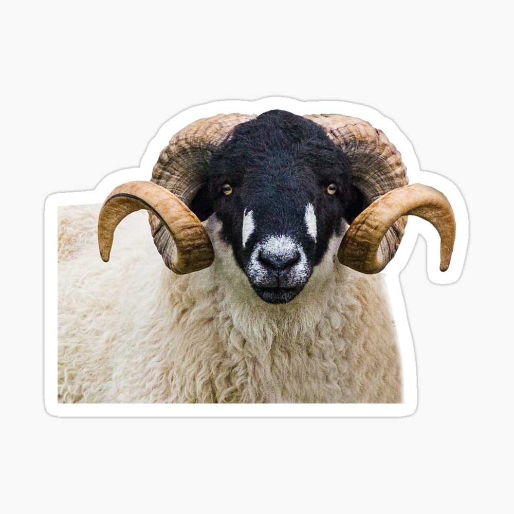 Premium Vector | Dark art goat head horns sheep satanic black white for  tattoo and clothing illustration