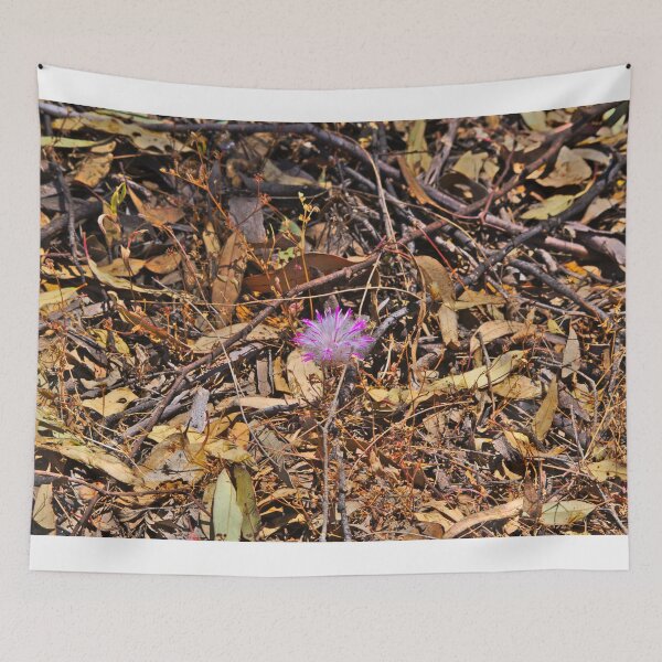 Item preview, A Pink Flower Native to Dryandra Woodlands, Western Australia designed and sold by Jason Gilbert.