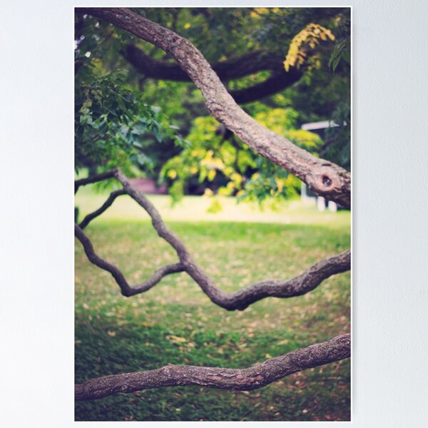 Item preview, Twisted Branches designed and sold by Sarah314.