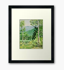 Rocky Mountain Scene Framed Print
