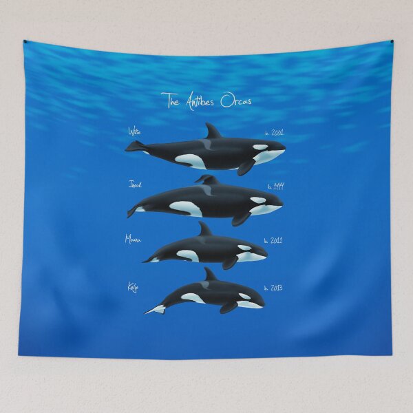 Item preview, The Antibes Orcas Lineup 2020 designed and sold by Art-by-Aelia.