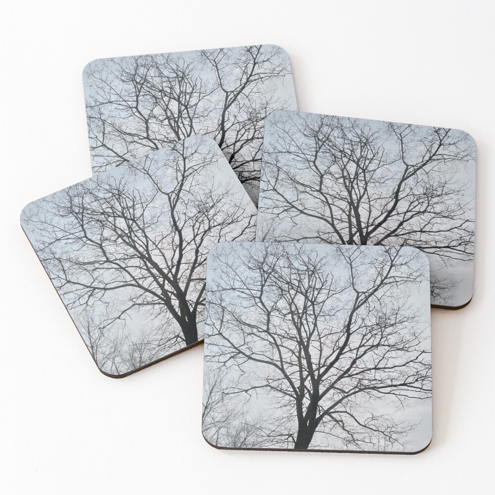 Item preview, Coasters (Set of 4) designed and sold by FloVis.