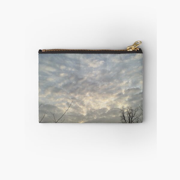 Item preview.