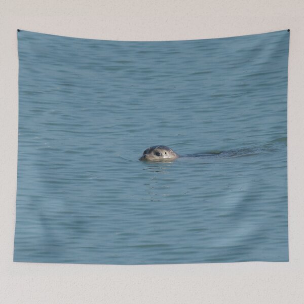 Item preview, Common Seal Swimming designed and sold by Sue Robinson.