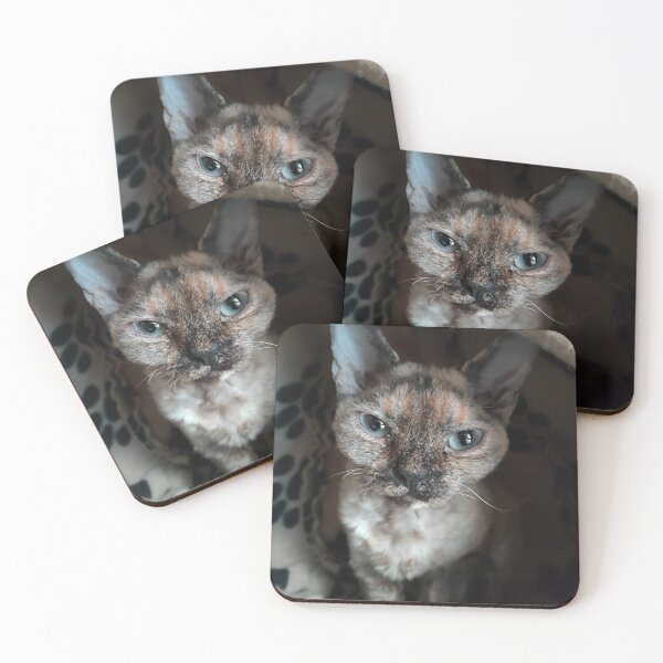 Item preview, Wynter the Devon Rex designed and sold by Hazel McKinnon.