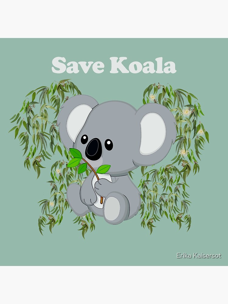 Koala Eco (koalaecousa)  Official Pinterest account