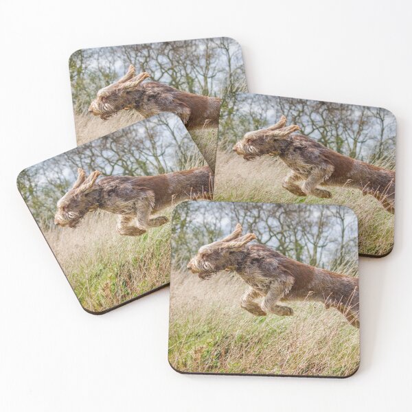 Item preview, Leaping Luca Spinone designed and sold by FOLK ART FUSION.