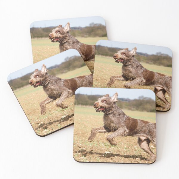 Item preview, Fun in the field Spinone designed and sold by FOLK ART FUSION.