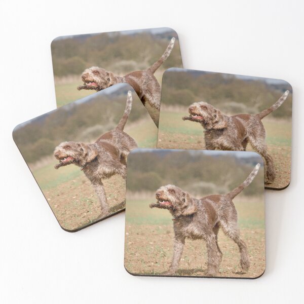 Item preview, Field fun Spinone designed and sold by FOLK ART FUSION.