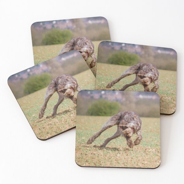 Item preview, Spinone playing by heidiannemorris designed and sold by FOLK ART FUSION.