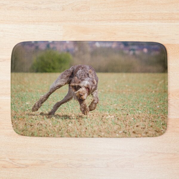 Artikelvorschau, Spinone spielt von heidiannemorris entworfen und verkauft von FOLK ART FUSION by heidiannemorris.