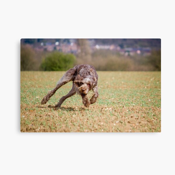 Untitled Canvas Print