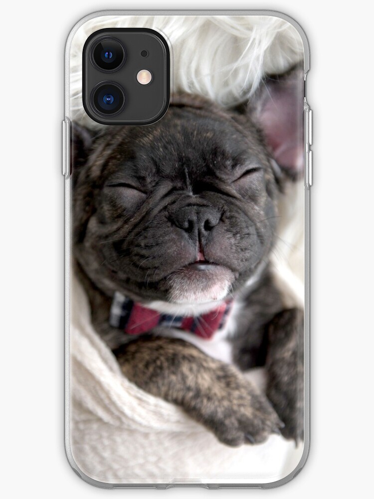 french bulldog swaddle