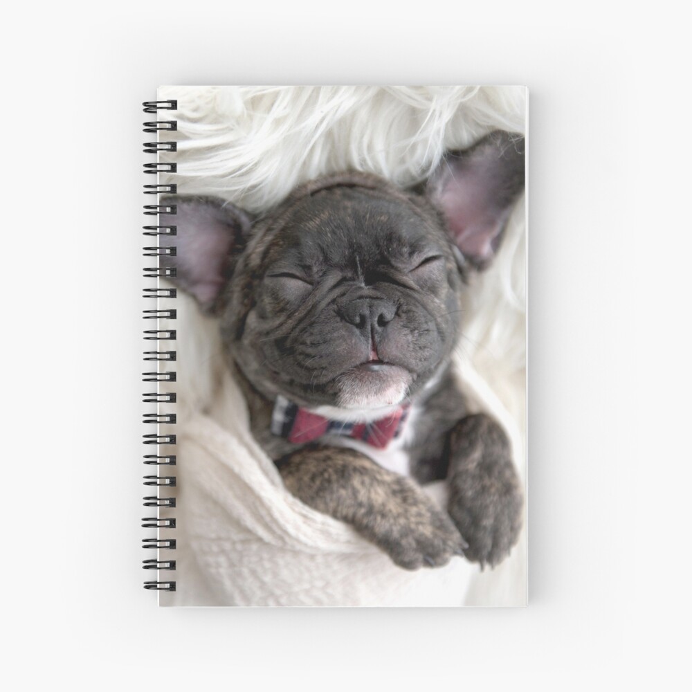 french bulldog swaddle