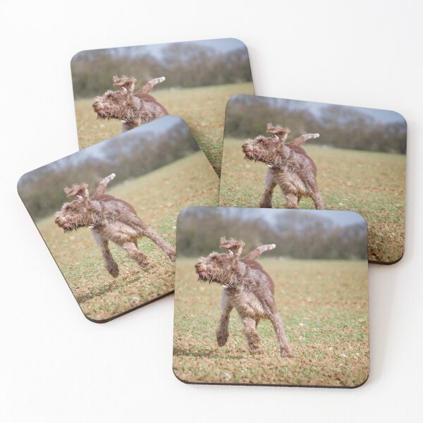 Item preview, Spinone playtime by heidiannemorris designed and sold by FOLK ART FUSION.