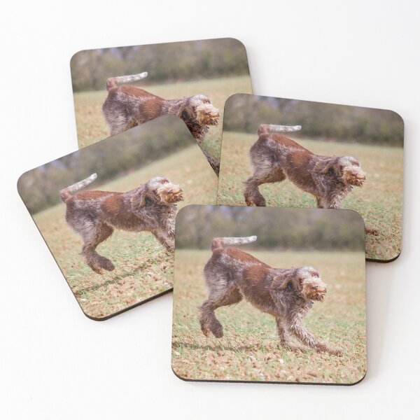 Item preview, Field games Spinone by heidiannemorris designed and sold by FOLK ART FUSION.