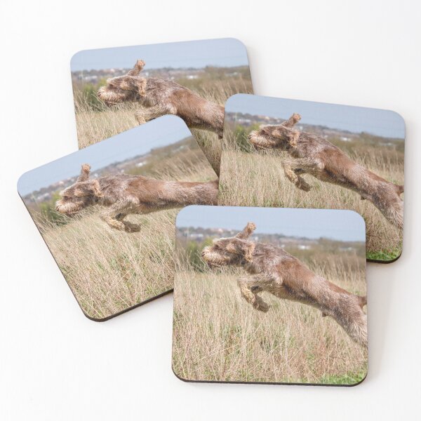 Item preview, Spinone leaping by heidiannemorris designed and sold by FOLK ART FUSION.