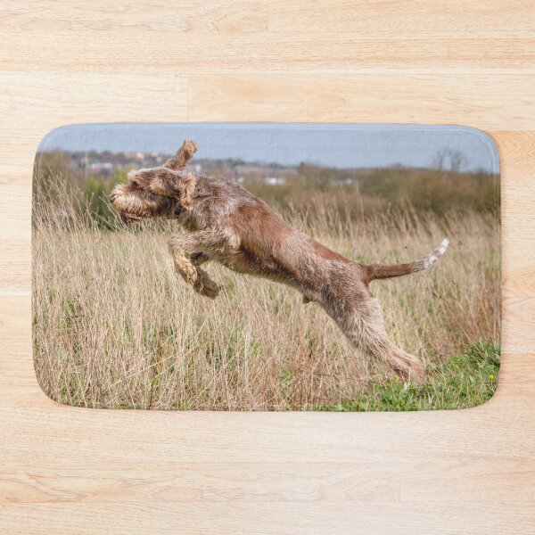 Item preview, Spinone leaping by heidiannemorris designed and sold by FOLK ART FUSION by heidiannemorris.