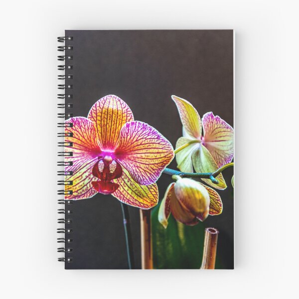Item preview, Orchid in bloom designed and sold by Bryan Spellman.