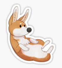 Cozy Corgi Sticker
