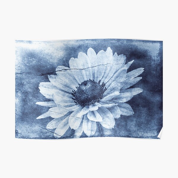 If Daisies Wore Blue Jeans Poster