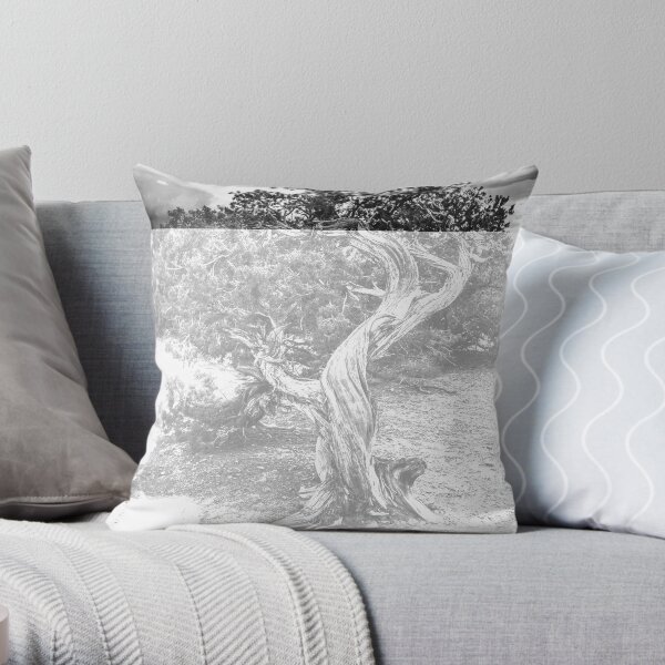 Twisted Wood in the Canyonlands Throw Pillow