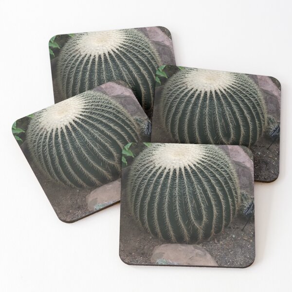 Aperçu de l'œuvre Cacti Friend créée et vendue par MssMattea27.