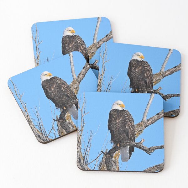 Item preview, Perched Bald Eagle designed and sold by NicoleFrederick.