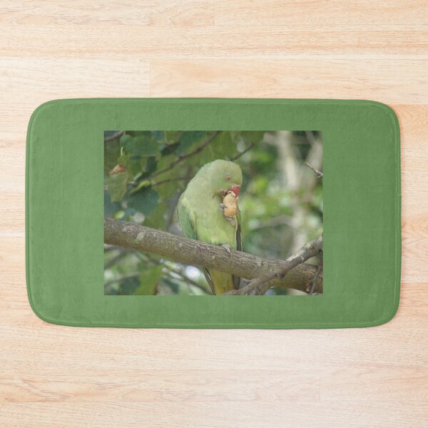 Item preview, Ring Necked Parakeet Pecking a Peanut Photograph designed and sold by naturegallery.