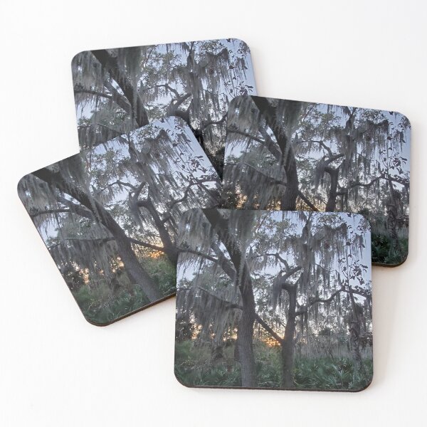 Item preview, A Florida Forest designed and sold by Amanda Huggins.