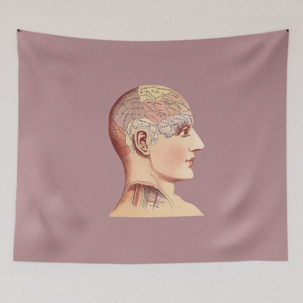Item preview, Antique Phrenology Illustration Artwork  designed and sold by FuzzyHoney.