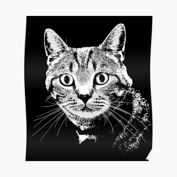 who-s-a-good-cat-poster-for-sale-by-juvajay-redbubble