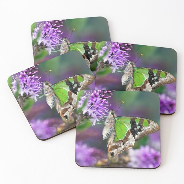 Item preview, Macleay Swallowtail Butterfly designed and sold by Leeo.