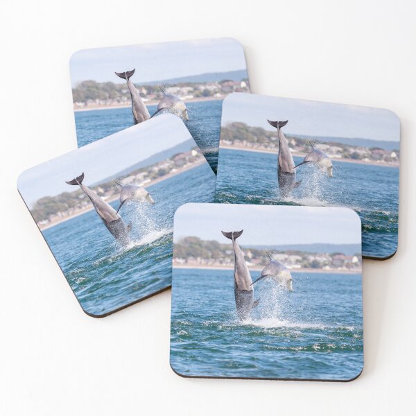 Item preview, double breaching dolphins designed and sold by chanonry.