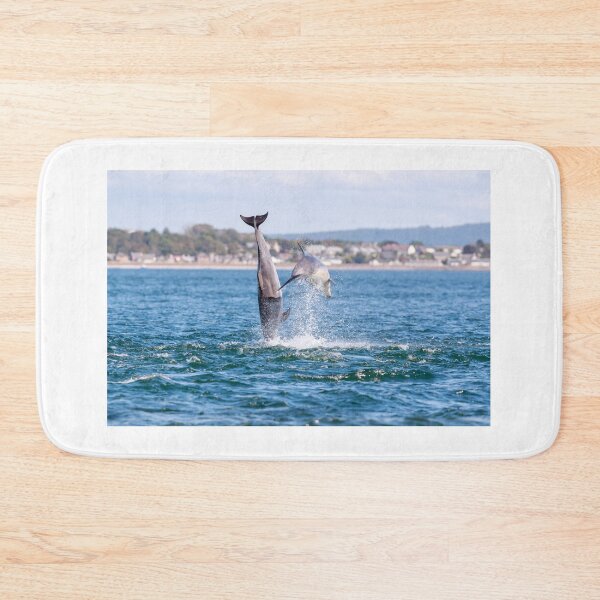 Item preview, double breaching dolphins designed and sold by chanonry.