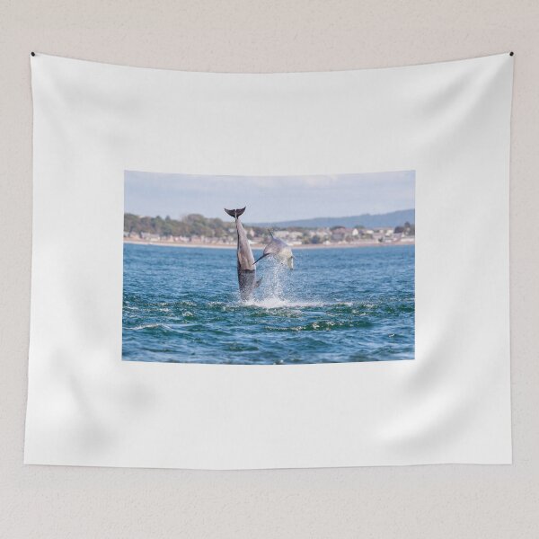 Item preview, double breaching dolphins designed and sold by chanonry.