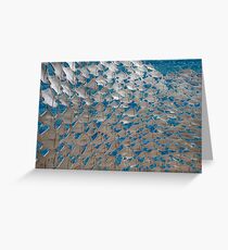 Shoal Greeting Card