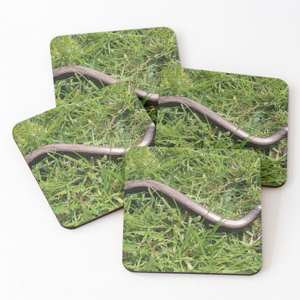 Item preview, Slow worm designed and sold by pinkal.